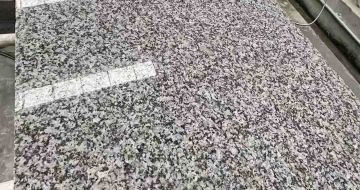 太原 芙蓉白光面