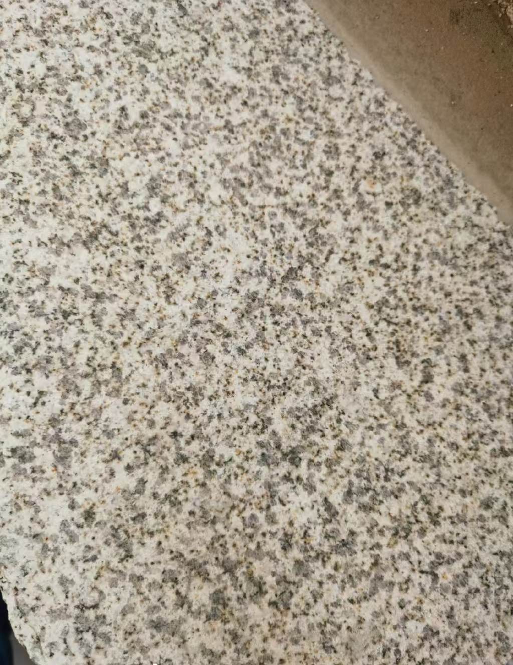 太原 黄金麻中黄光面