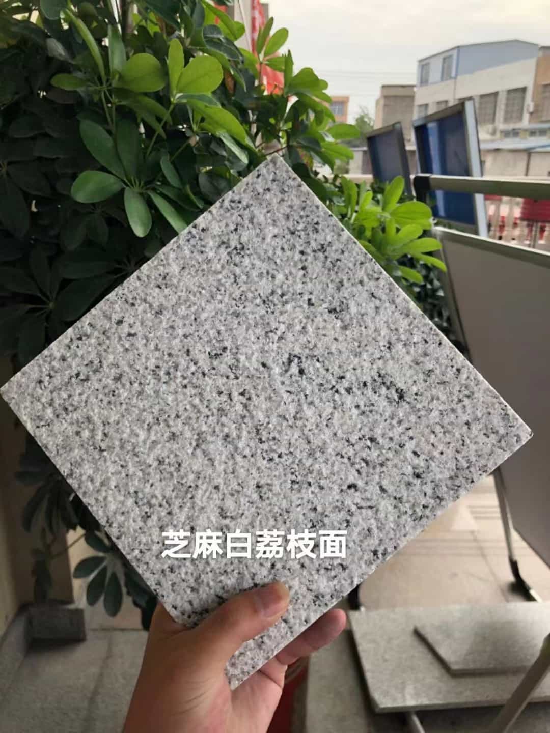 太原 芝麻白荔枝面干挂